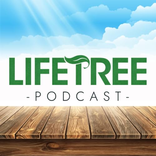 『Lifetree Message』のカバーアート
