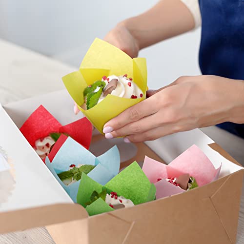 Gandeer 600 Pcs Baking Cups Tulip Cupcake Liners Wrappers Printed Muffin Holders Greaseproof For Holiday Wedding Birthday Party Baby Shower Christmas (Plain Style) Assorted,Blue,Green,Pink,Red,White #TOP1