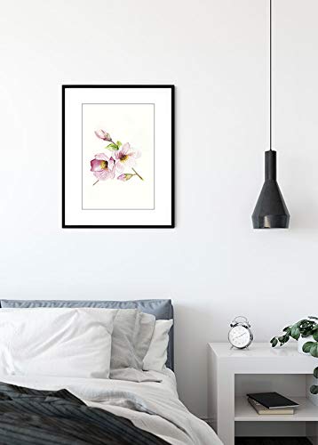 Komar Wall Picture Magnolia Breathe Poster Picture Living Room Bedroom Decoration Art Print Without Frame P073A-40x50 Size 40 x 50 cm (Width x Height) - Image 3