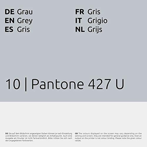Cordon porte-clés 20 mm gris avec crochet easy going pour pass pro