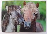 14,5 x 10,5 cm Schöning 3 D Ansichtskarte Islandpferde, Postkarte Wackelkarte Hologrammkarte, Pferd Pony