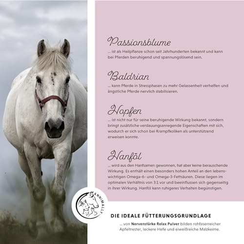Annimally Nervenstärke - Pferde Relax Nerven Pulver 2kg zur Beruhigung beim Pferd - Nervenkräuter mit Magnesium, Tryptophan, Baldrian, Passionsblume & Hanföl gegen Angst, Stress & für Transport
