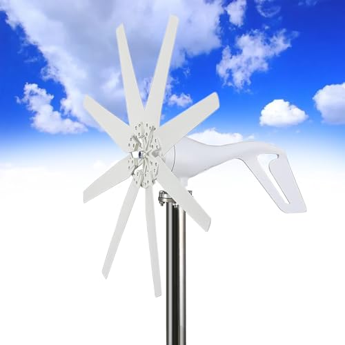 Éolienne 12000W avec contrôleur MPPT 24V à 8 pales pour maison et camping-car