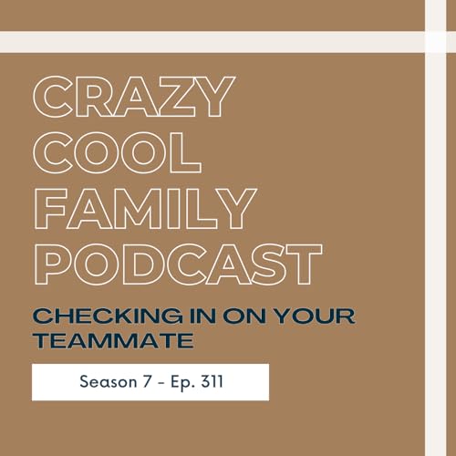 #311: Checking in on Your Teammate cover art