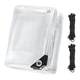 Trasparente con Occhielli 90 x 210 cm PVC Trasparente Faccia Multiuso Polietilene e Antistrappo per Esterni, Terrazza, Pollaio, Balcone, Colore trasparente