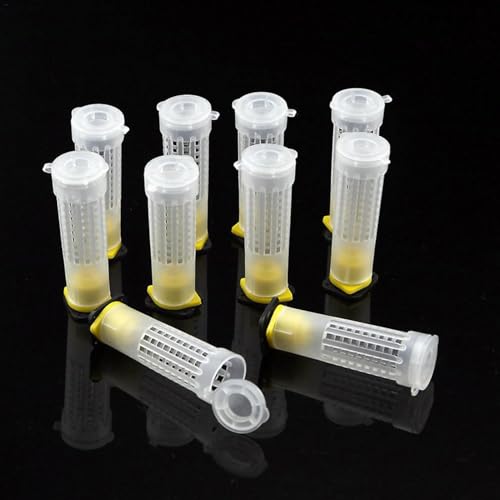 Xiixuuj Jaula para abeja reina,jaula para abeja reina - Equipo de apicultura multifuncional 10 piezas,Herramientas de abeja para apicultura, jaulas de mayordomo para cría de abejas, multifuncionales y