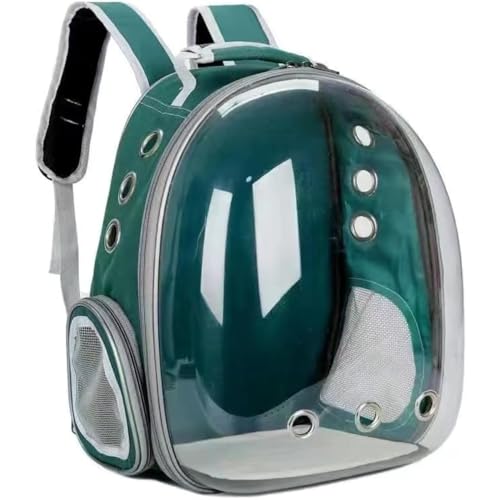 DAboru ybgL[obO LL[ Lp FDJvZ^ bNTbN sybgobO  o UVJbgO΍^ ʋC e ϋv S ܂肽 pbht (O[)