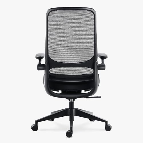 sunaofe chair review