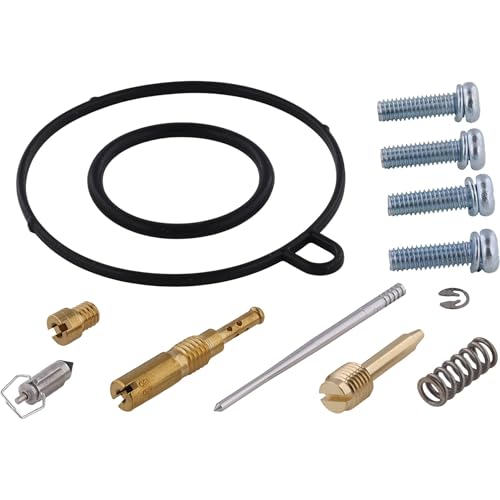 Kit de reconstrucción de carburador All Balls Racing 26-1351 que elimina fallos de ralentí