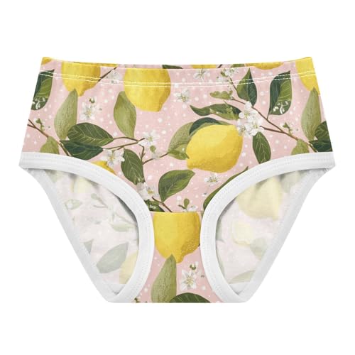 Wusikd Lemons Branches Girls' Underwear Cotton Flowers Girls Briefs Soft Toddler Underwear 2T