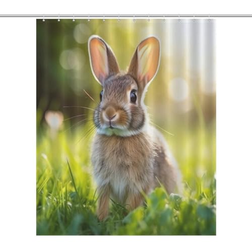 Rideau de douche lapin en polyester imperméable 152x183cm avec 12 crochets