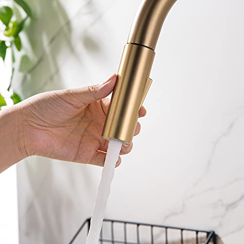 Gold Kitchen Sink Faucets Pull Down 2 Mode Sprayer With Deck Plate, Brushed Brass Gold #TOP3