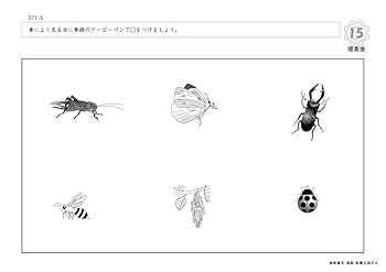 ばっちりくんドリル新年長11月〜年長10月　欠けなし 040 ばっちりくんドリル 見え方の推理(応用編) (理英会の家庭