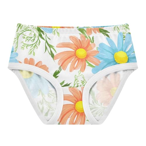 Cotton Toddler Girls Underwear Painted Daisy Flowers Blue Yellow Panties for Girl Flower Briefs Girls Undies 2t