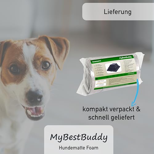 MyBestBuddy Hundekissen Premium orthopädisch mit 8 cm Vollschaum-Kern grau 70x50 cm M, Hundematte mit Stoffbezug, 40°C waschbar, allergikerfreundlich - Hundebett für kleine Hunde, 70 x 50 cm