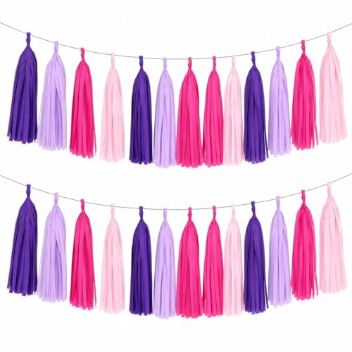 Image of Pink Purple and Rose red Tissue Paper Tassels Tassel Garland Banner for Birthday Party Decorations,Pack of 20