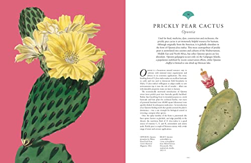 Kew: Rare Plants: The World's Unusual and Endangered Plants