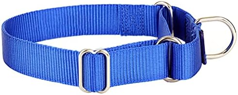Alainzeo Martingale Dog Collar, Heavyduty Nylon Dog Collar, Blue, Large