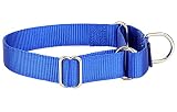 Alainzeo Martingale Dog Collar, Heavyduty Nylon Dog Collar, Blue, Large