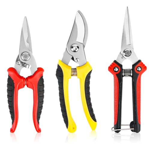 Forbici da Giardino, Potatura in Acciaio Inossidabile, 3 Pezzi Cesoie da Potatura da Giardino ad Alta Precisione, Professionali Forbice Cesoie per Bonsai, Piante, Fiori, Raccolta Frutta, Verdura