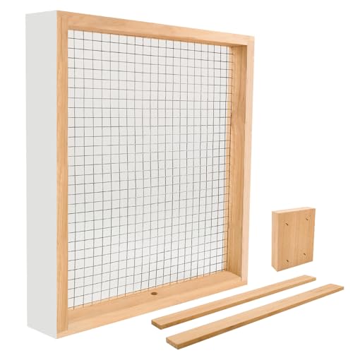 BeeTech 10 Frame Langstroth Bee Hive Candy Board Hand Painted Assembled for Bees Feeder Winter