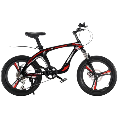 Tcrciuk�t�@�b�g�o�C�N 18�`22�C���` �ɑ��^�C�� �f�B�X�N�u���[�L ���]�ԑ��i�ϑ� �j�̎q�E���̎q���p �ʋ� �ʊw (���b�h�M�A�t��,18�C���`)