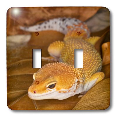Interrupteur à bascule double motif lézard gecko léopard 3dRose