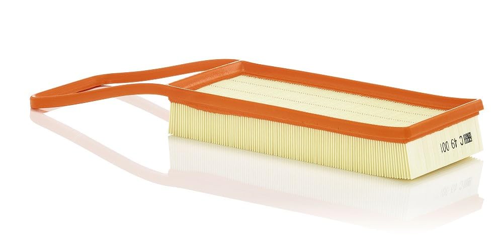 Air filter Filter Insert C 49 001 MANN-FILTER for BMW X5