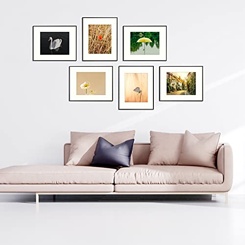 Auear, 16X20 Aluminum Picture Frame Set Of 6, Made To Display Pictures 11X14 With Mat Or 16X20 Without Mat, Wall Gallery Metal Photo Frames (Real Glass, Black) #TOP1