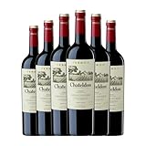 Pinord Chateldon Cabernet Sauvignon Penedès Reserva 75 cl Vino tinto (Caja de 6 Botellas de 75 cl)