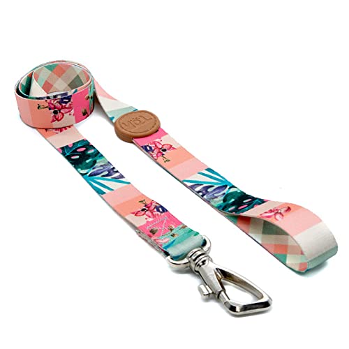 Toh Conjunto Peitoral Neoprene E Guia Laguna Pp