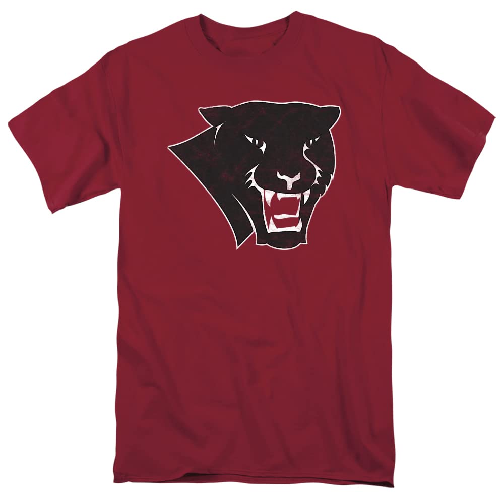 LOGOVISION Official Collegiate Distressed Primary Logo Adult T-Shirt Collection — view 133