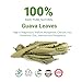 2.6oz Hoja De Guayaba, Dried Guava Leaf, Natural Guava Leaves, Aromatic Tea, Caffeine free, No Additives, Non GMO. By Akshit