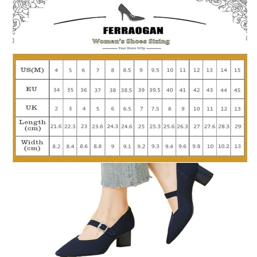 Women Knit Pointed Toe Chunky Heel Mary Jane Dress Shoes for Women Mesh Softable Comfort Low Block Heels Ankle Buckle Strap Work Mary Jane Pumps2