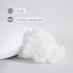 MIULEE Throw Pillow Inserts (Set of 2) Hypoallergenic Premium Pillow Stuffer Rectangle Form for Decorative Cushion Bed Couch Sofa 12x20 Inch