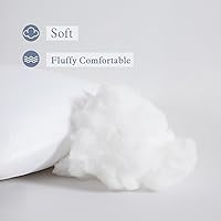 Vista 3 de MIULEE Juego de 2 rellenos de almohada de primera calidad, forma rectangular para cojín decorativo, cama, sofá, 12 x 18 pulgadas