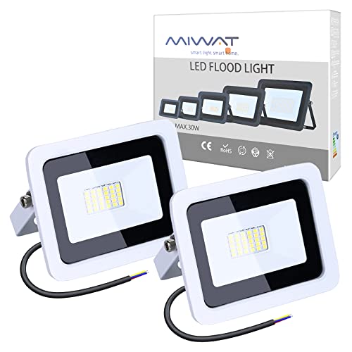 MIWATT Faretti a LED per esterni 30W luci a LED per esterni IP68 2500 lumen, Luce bianca fredda，parco, patio, giardino, garage，2 Pezzi