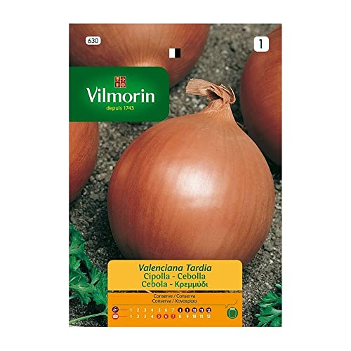 VILMORIN Semillas de Cebolla Valenciana Tardía, Ref: 630, Sobre 5 gr Cover