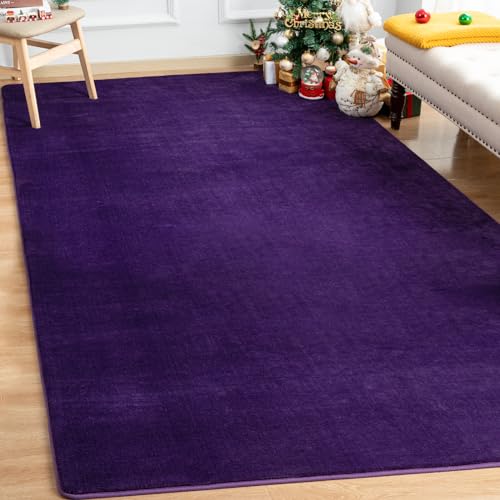 Andecor Soft Area Rug, 4x6 Purple Washable Rugs for Living