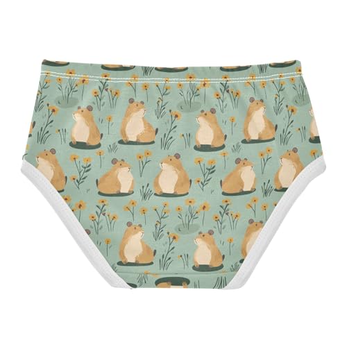 Girls Underwear Soft Cotton Capybaras Kids Panties in Sizes 2/3t, 4t, 5t, 6 and 82