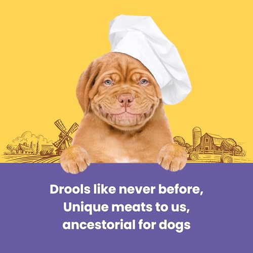 Image of Barkbutler x Dogfest Dog Training Treats, Rabbit & Pumpkin Seeds, Superfood Dog Treats for Adult Dog, Bite-Sized Treats for Puppies, Dog Treat, Aids Digestion & Boosts Immunity
