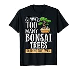 Albero bonsai