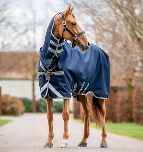 AmigoÂ® 1200D Integrated Turnout 0g