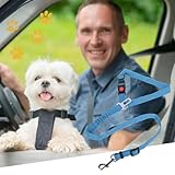 Lollanda Sicherheitsgurt Hund Auto, Hundegurt fürs Auto Sitze mit Reflektierenden Streifen und Pufferseilen, Verstellbarer Hundegurt für Große Mittlere und Kleine Hunde (Hellblau)