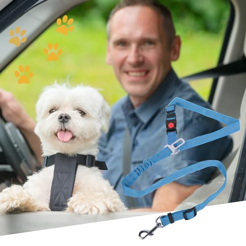 Lollanda Sicherheitsgurt Hund Auto, Hundegurt fürs Auto Sitze mit Reflektierenden Streifen und Pufferseilen, Verstellbarer Hundegurt für Große Mittlere und Kleine Hunde (Hellblau)