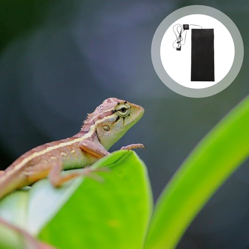 Almohadilla térmica eléctrica para mascotas POPETPOP miniatura 3