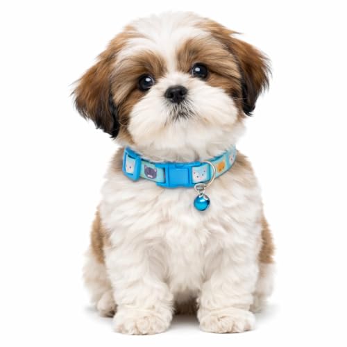 Image of Emily Pets Cat Collar with Bell, Solid & Safe Collars for Cats, Nylon, Mixed Colors, Pet Collar, Breakaway Cat Collar, Free Replacement (Coloy mey Vary, 1 Piece)