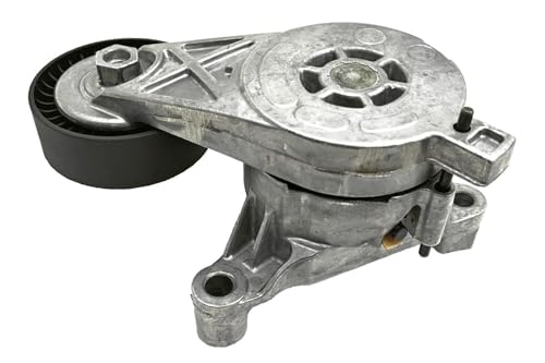 Skf Vkm 31022 Kit Tendicinghia - 2