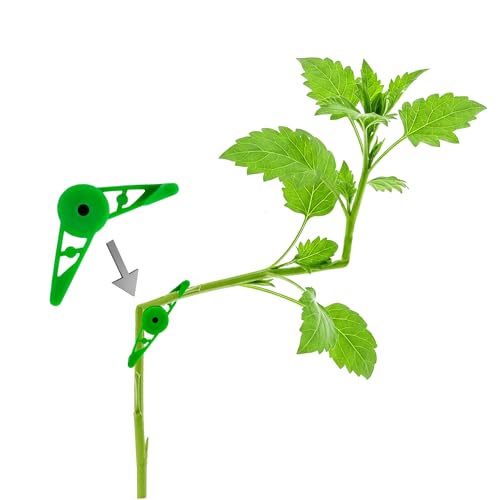 BLISSANY Pflanzenbieger Set mit 25 Clips – Pflanzenclips - Triebe lenken, Wachstum fördern – für perfektes Pflanzenwachstum – für Jede Pflanze geeignet (Pflanzenbieger 360 Grad)