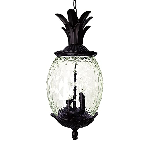 Acclaim Lighting | 7516BC | Lanai Collection | Large Outdoor Hanging Pineapple Dimmable Lantern | Durable Anti-Rust Cast Aluminum | Three Light in Black Coral | Showcases Style and Hospitality
